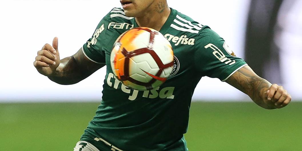 (Palmeiras FC)
