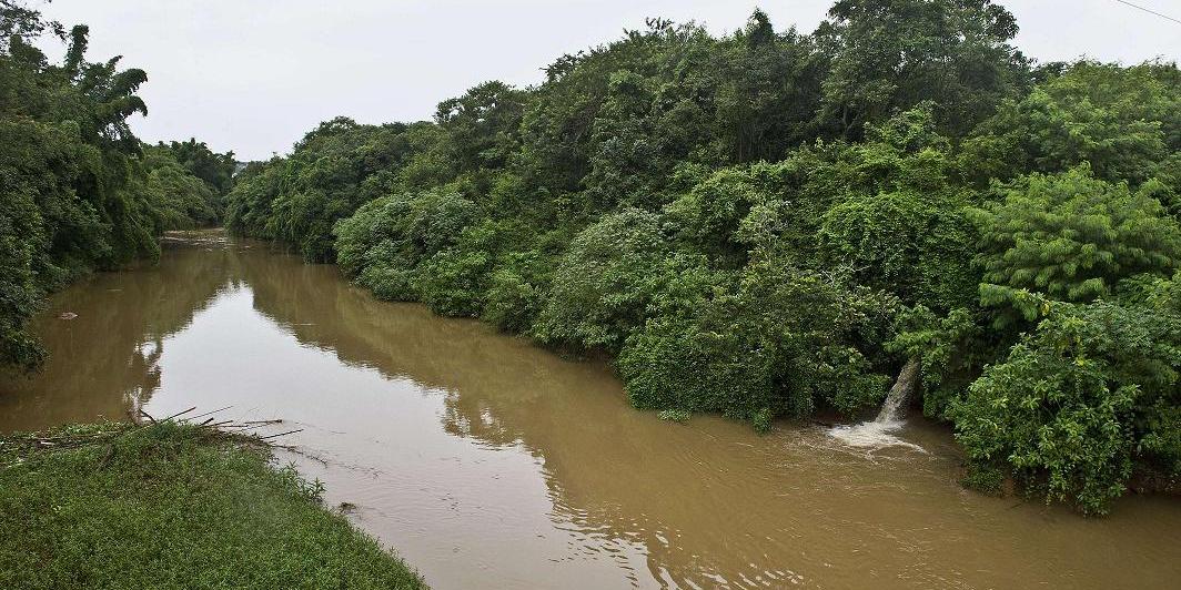 Ambev pagará agricultores para preservar florestas e rios