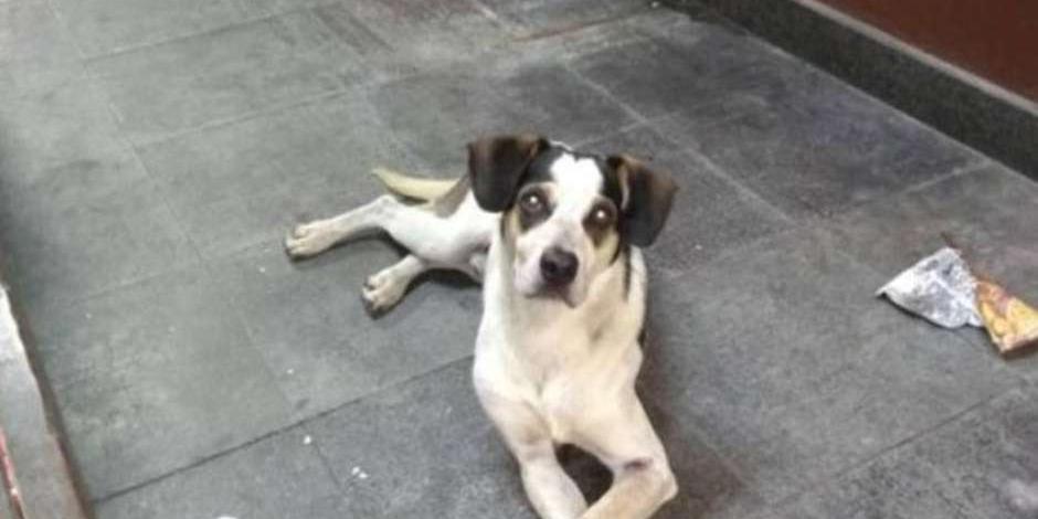 (Reprodução/Facebook)