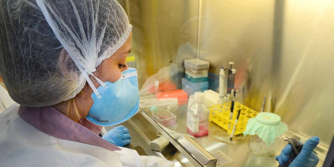 Vacina influenza monovalente A (H5N8) será testada em duas doses, com intervalo de 21 dias, em adultos de 18 anos até 59 anos (Rovena Rosa/Agência Brasil)
