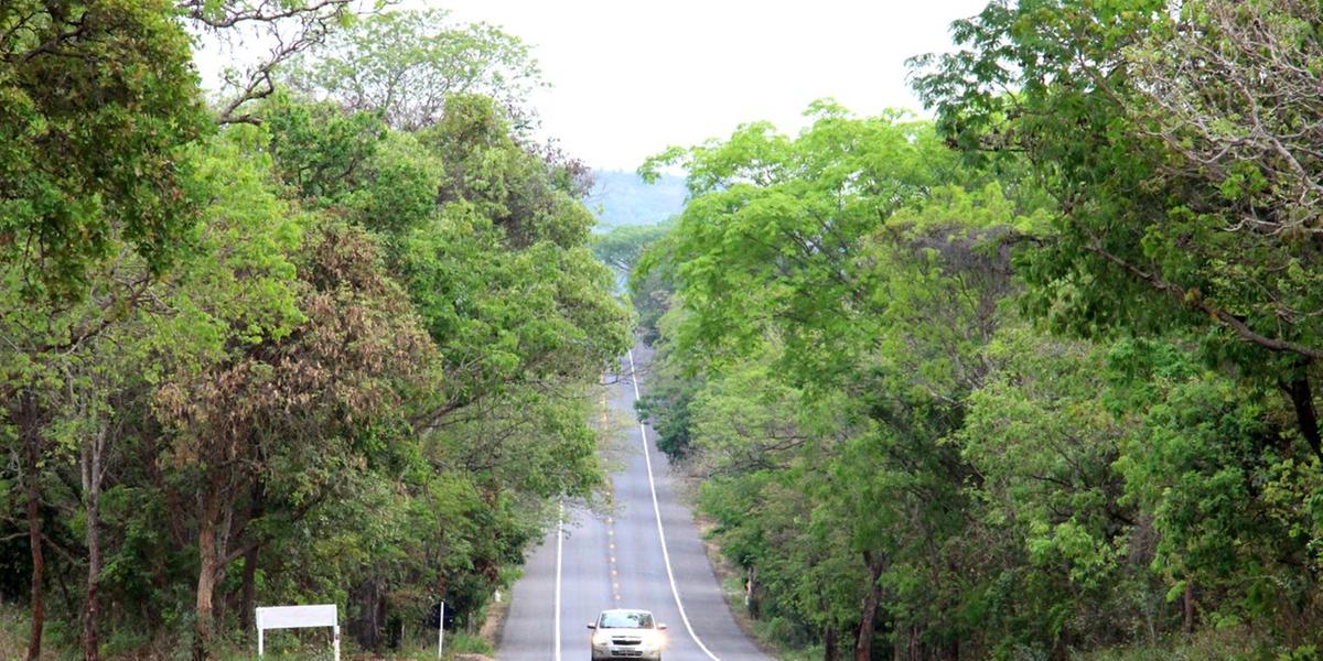 (Eco135/Divulgação)