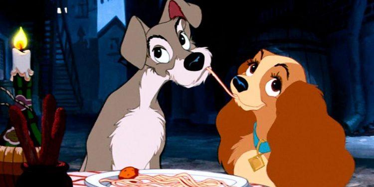 F5 - Cinema e Séries - Disney divulga fotos de cachorros que farão  live-action de 'A Dama e o Vagabundo' - 09/08/2019