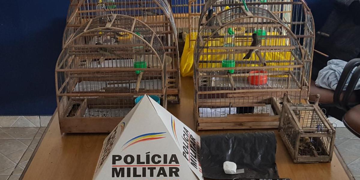 (Polícia Militar/Divulgação)