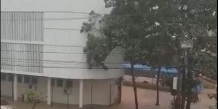 (Reprodução Facebook)