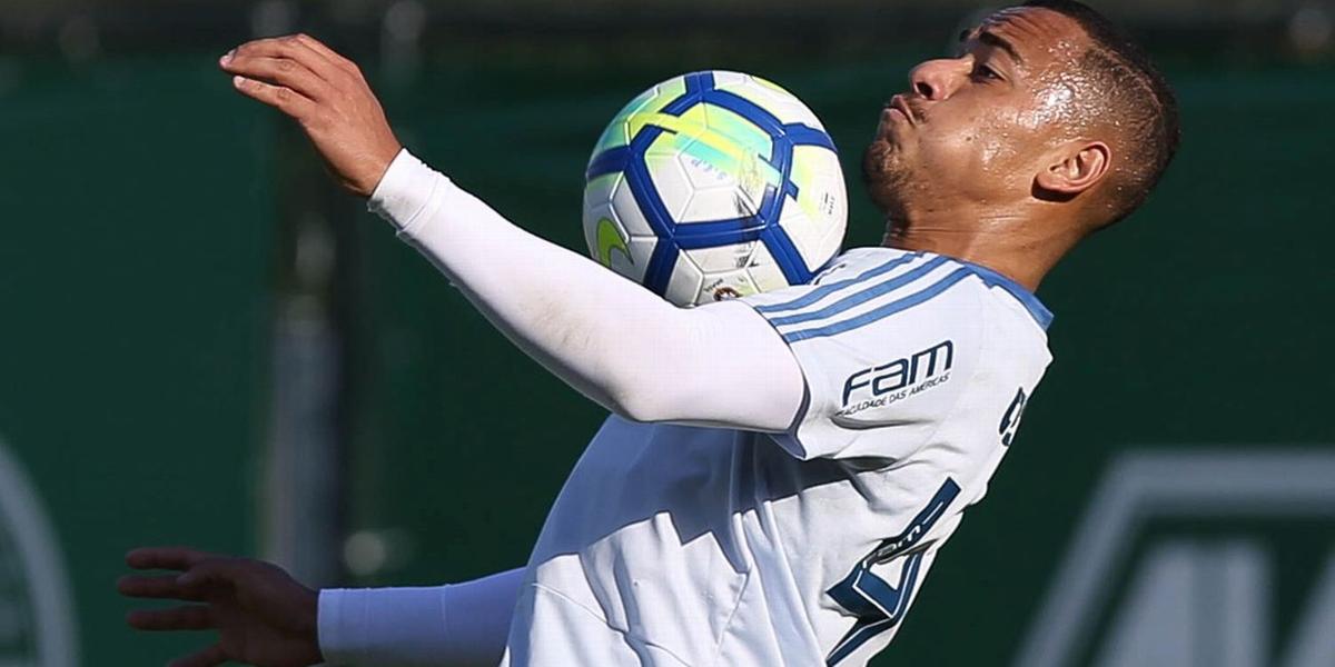 (Palmeiras/divulgação)