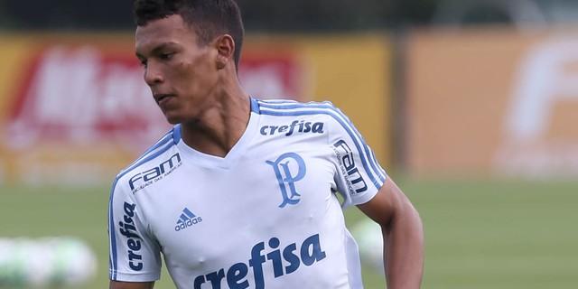 (Divulgação/Palmeiras )