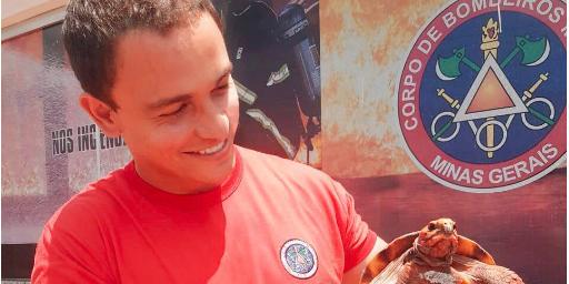 (Divulgação/Bombeiros)