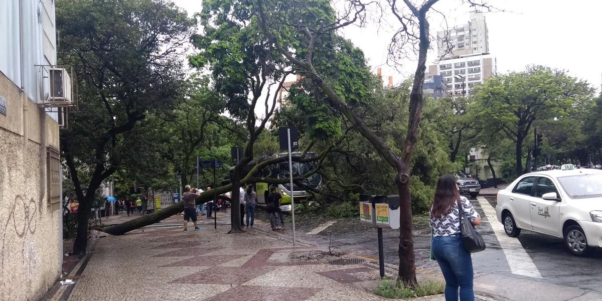 (Reprodução / Redes Sociais)