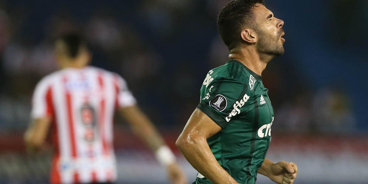 (Divulgação/Palmeiras )