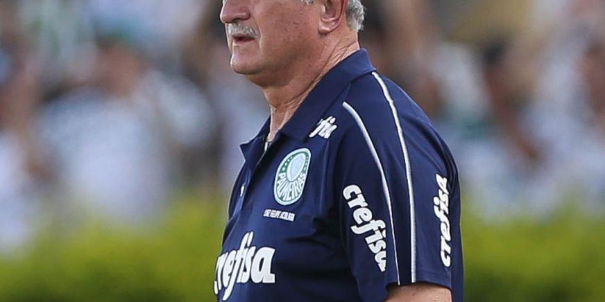(Cesar Greco/Ag Palmeiras/Divulgação)