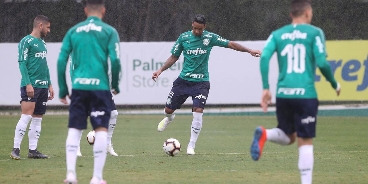 (Cesar Greco/Ag Palmeiras/Divulgação)