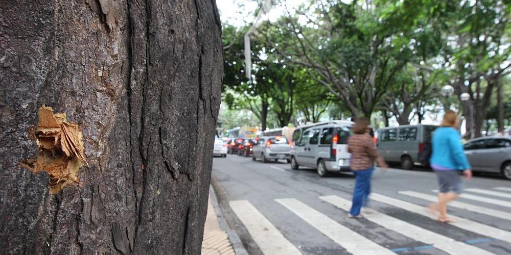 (Eugênio Moraes)
