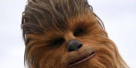 Star Wars': Chewbacca é personagem mais pesquisado por brasileiros no  último ano