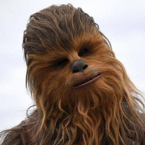 Star Wars': Chewbacca é personagem mais pesquisado por brasileiros no  último ano