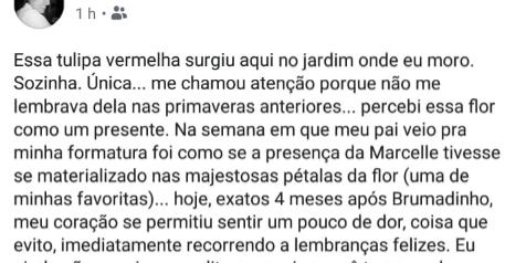  (Reprodução Facebook)