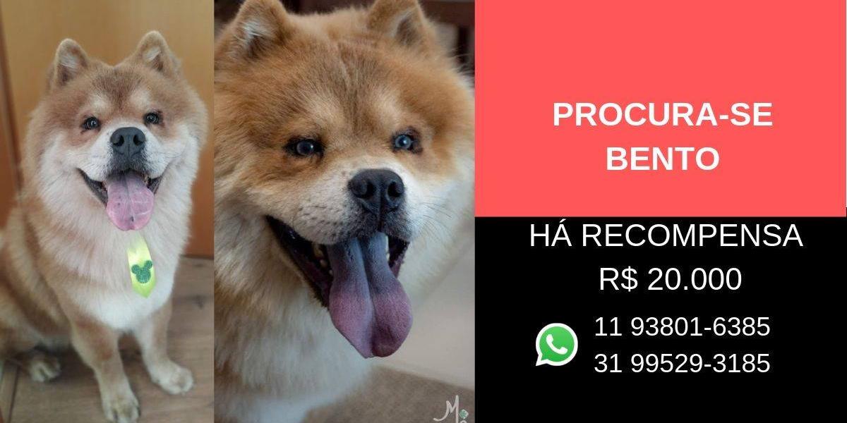 (REPRODUÇÃO / REDES SOCIAIS)