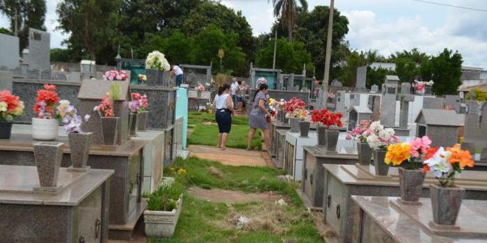 Imagem ilustrativa (Reprodução/ Patos 1)