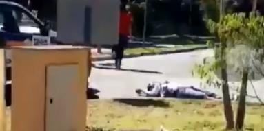 (Reprodução/ WhatsApp)