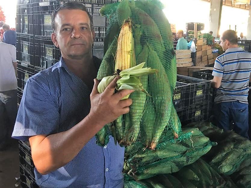 Preço do milho na Ceasa Minas está mais barato neste São João
