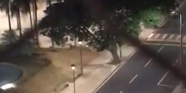  (Reprodução vídeo)