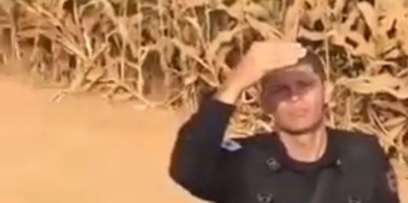  (REPRODUÇÃO / REDES SOCIAIS)