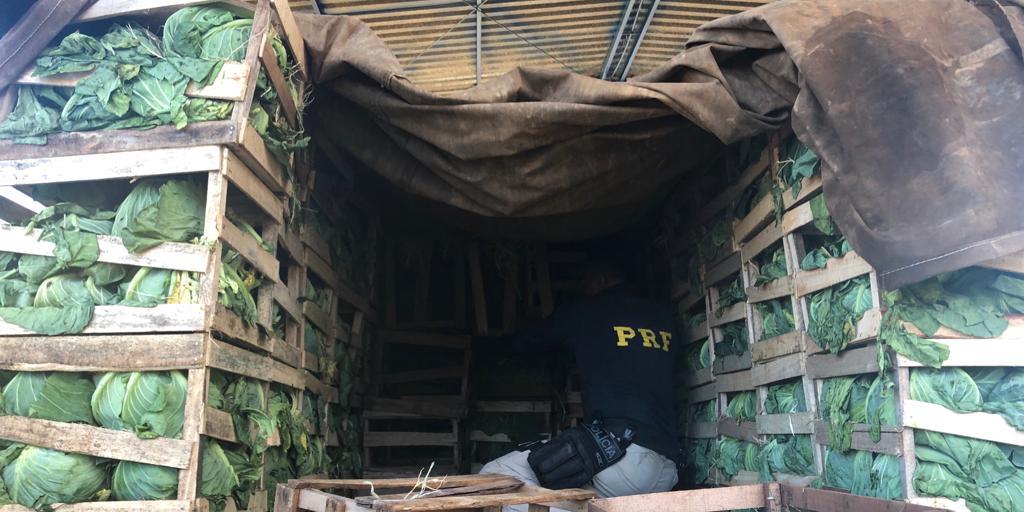 (Polícia Rodoviária Federal/Divulgação)