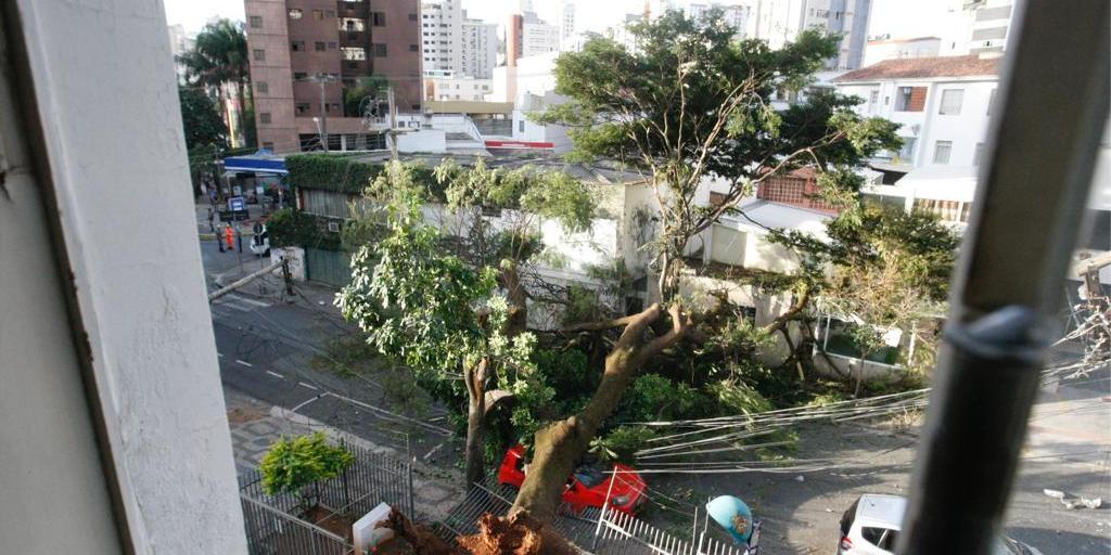  (Riva Moreira )