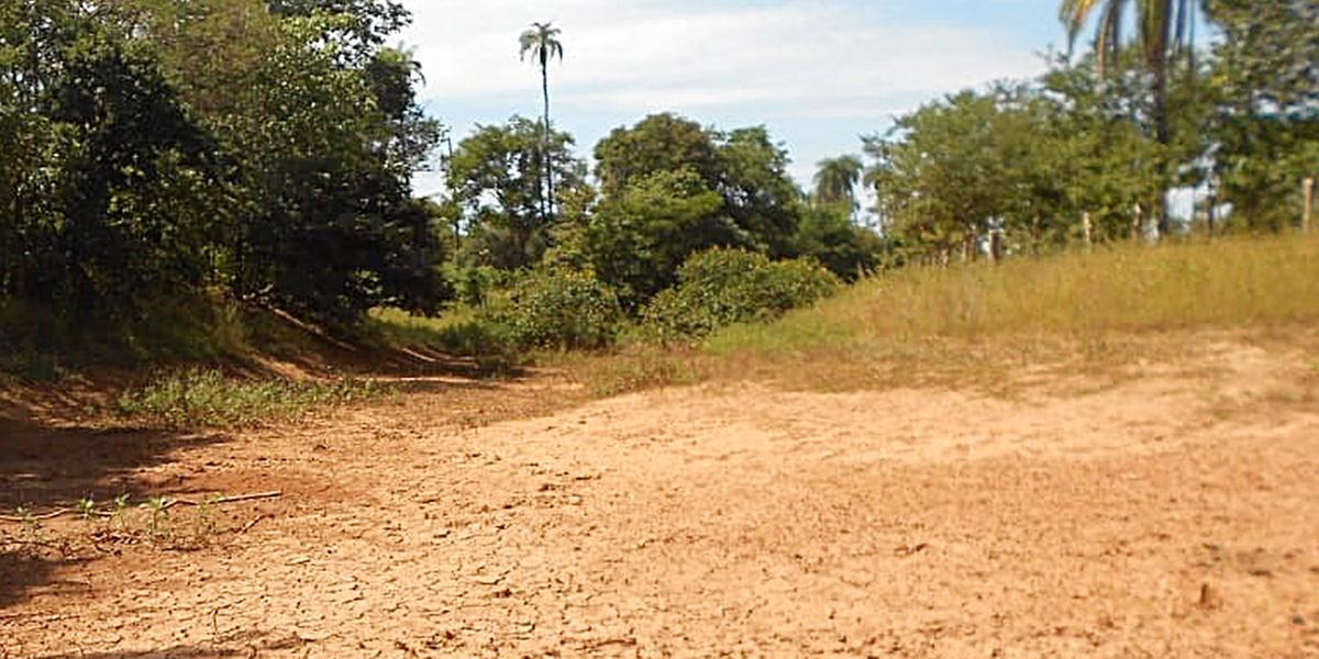 Amazonas lidera com a maior área atingida pela seca, seguido pelos estados da Bahia, Minas (Amams/Divulgação)