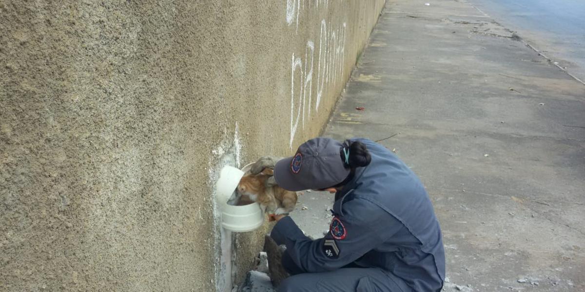 (BOMBEIROS / DIVULGAÇÃO)