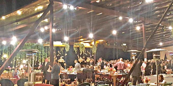 (Fotos Laila Senna/DIVULGAÇÃO)