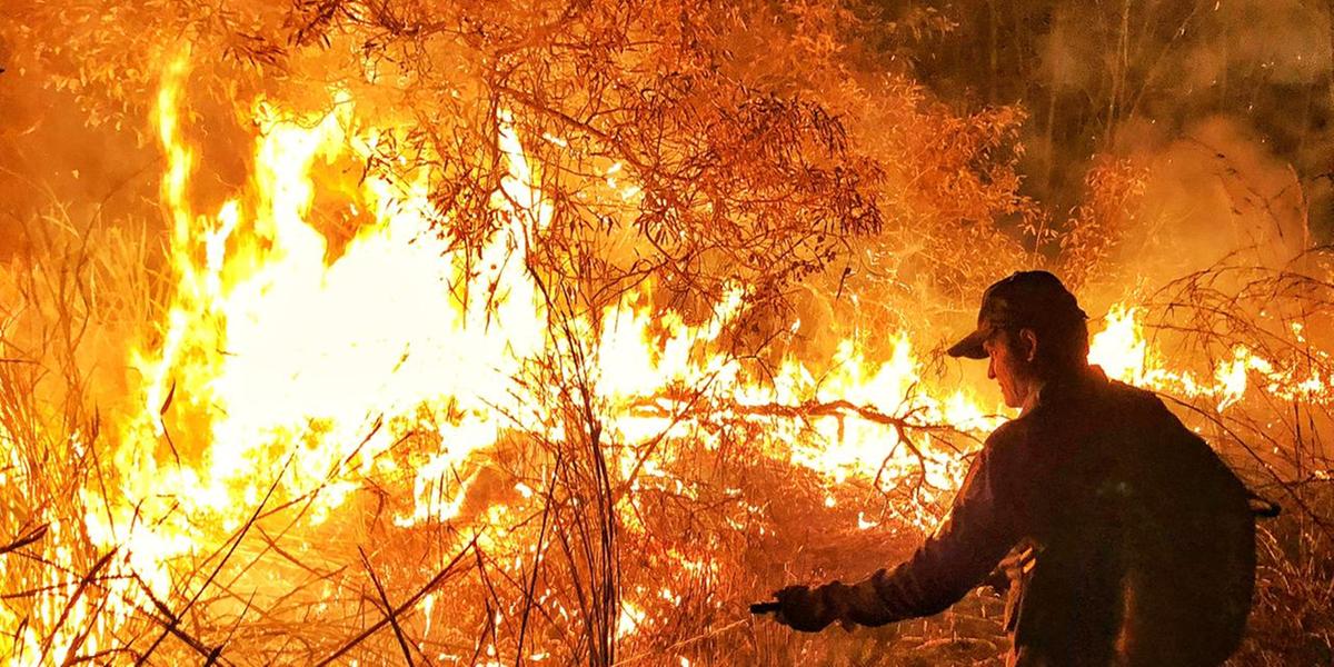 (Corpo de Bombeiros/Divulgação)