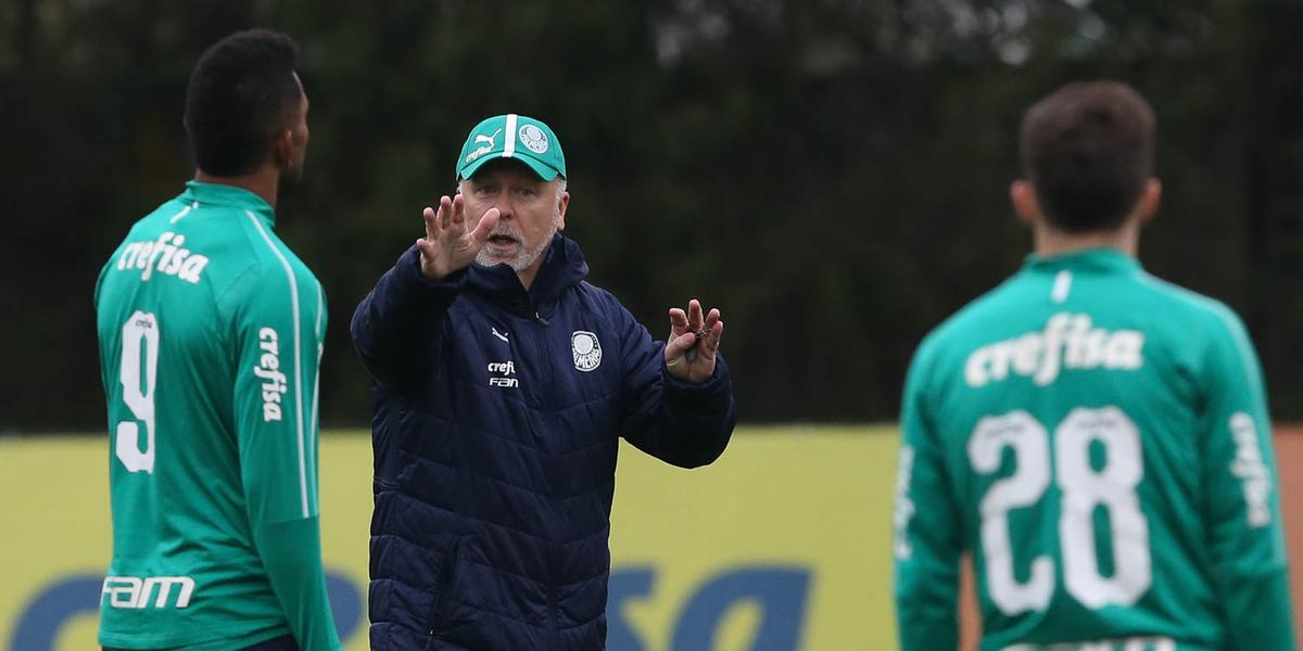 (Cesar Greco/Ag Palmeiras/Divulgação)