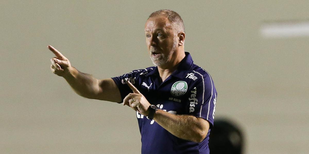 (Cesar Greco/ Ag. Palmeiras/ Divulgação)