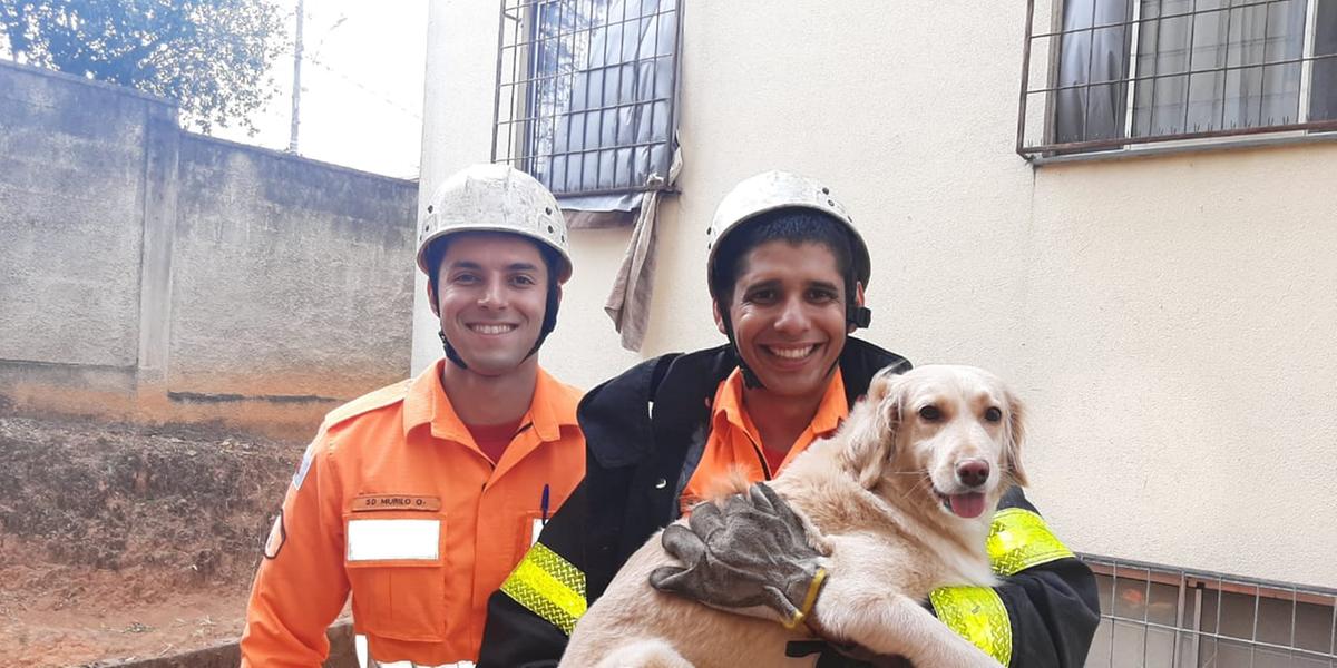 (CBMMH / Divulgação)
