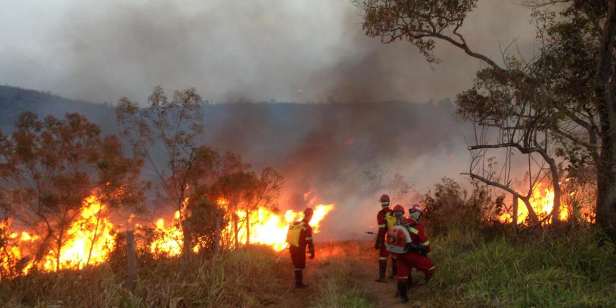  (Corpo de Bombeiros/Divulgação)