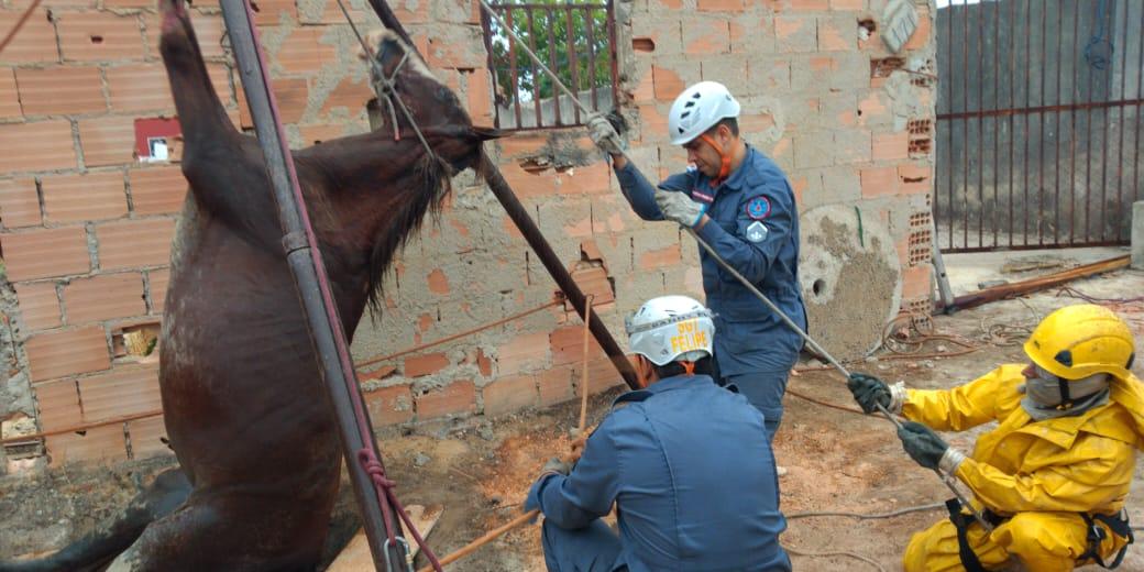 (Corpo de Bombeiros/Divulgação)