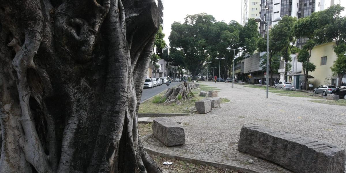 (Riva Moreira )
