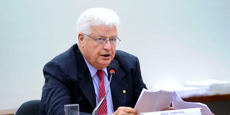 (Laycer Tomaz/Arquivo/Câmara dos Deputados )