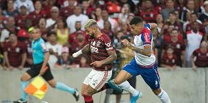 (Alexandre Vidal / Flamengo/Fotos Públicas)