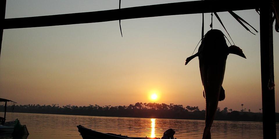  (Pixabay)
