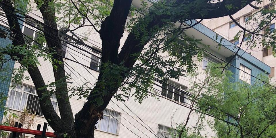 (Divulgação / CBMMG)