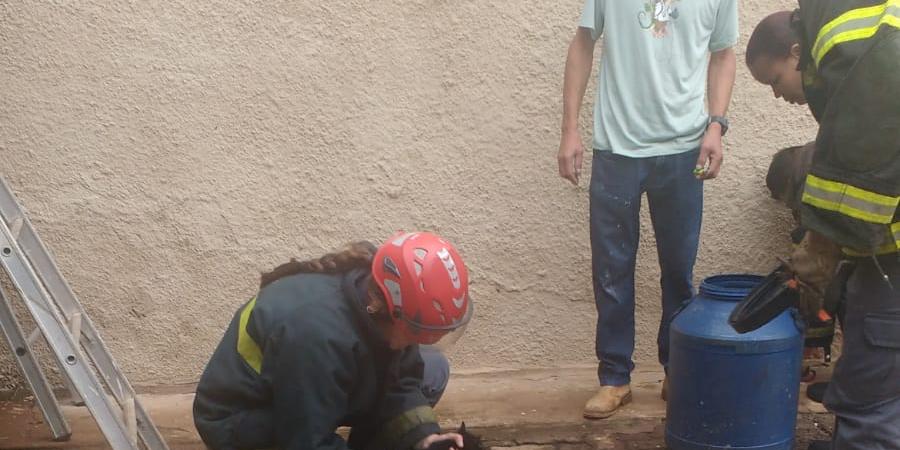  (Corpo de Bombeiros/Divulgação)