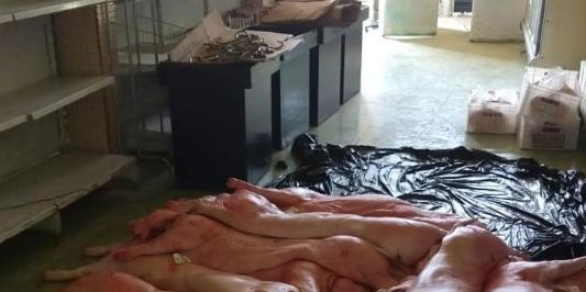 (Divulgação/ PM)