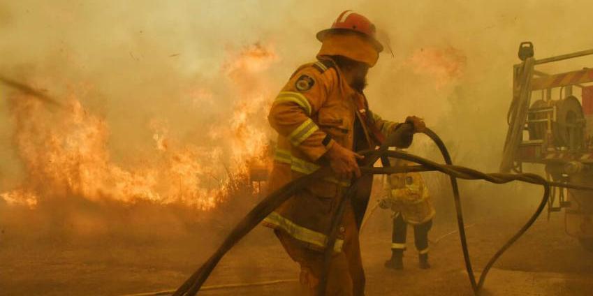 (NSWRFS )