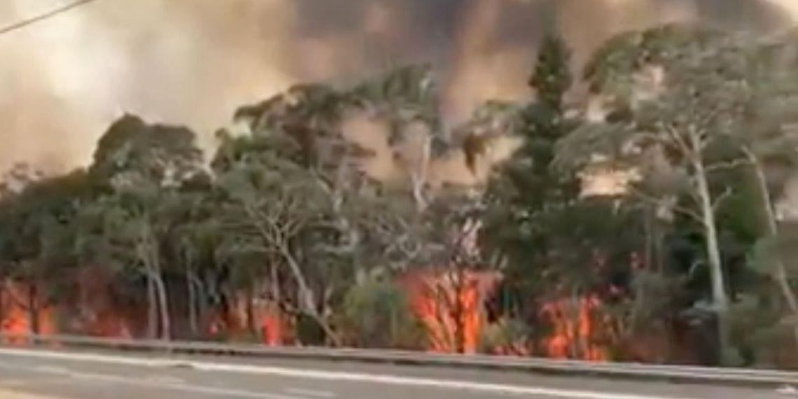 (NSW RURAL FIRE SERVICE)