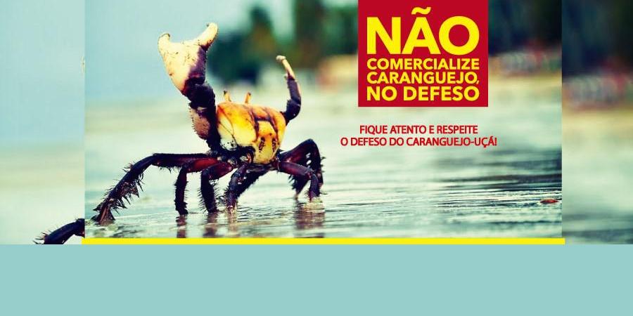 (Divulgação)