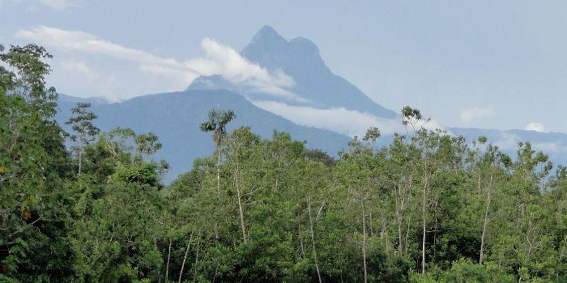 (Ramilla Rodrigues/icmbio.gov.br)