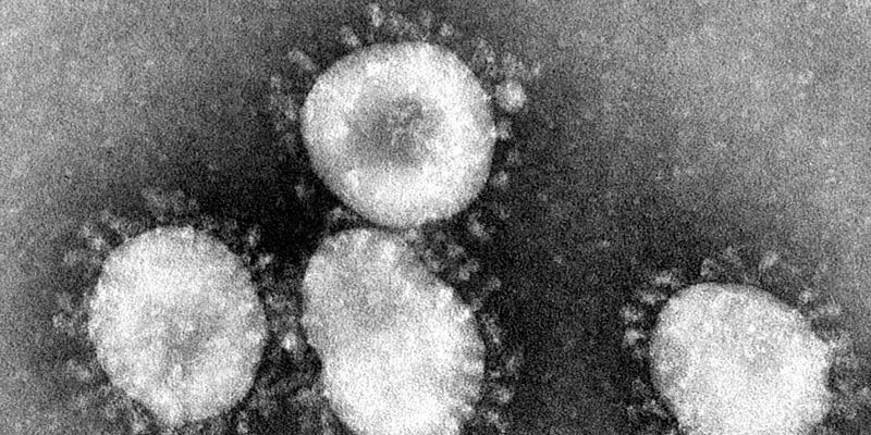 (CDC/USA)