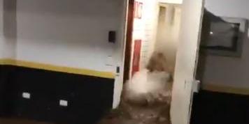(Reprodução/WhatsApp)