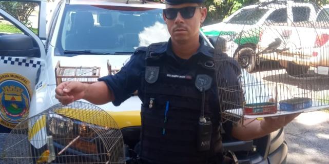  (Guarda MUnicipal BH/Divulgação)